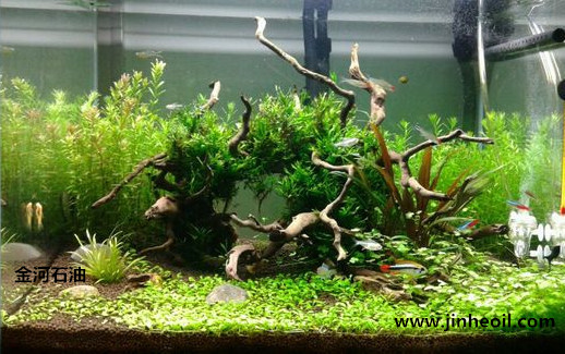 陶粒砂顶级水族专用版