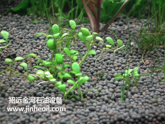 陶粒砂 陶粒砂